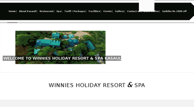 winnieshotelkasauli.com