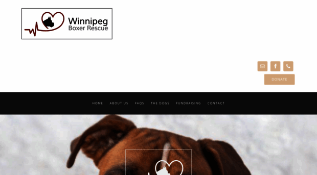 winnipegboxerrescue.com