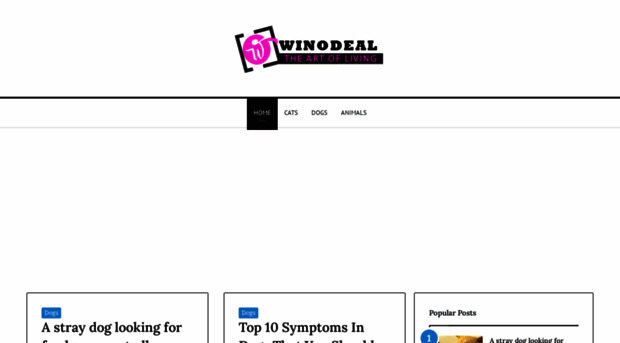 winodeal.com