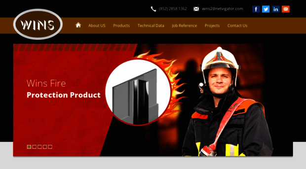 winsconsultants.com
