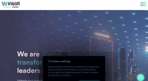 winsoft.eu