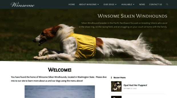 winsomesilkenwindhounds.com