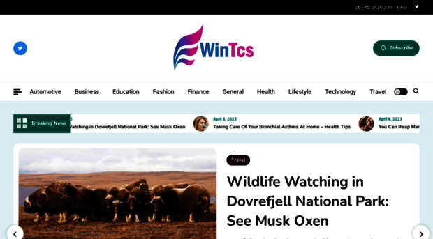 wintcs.com