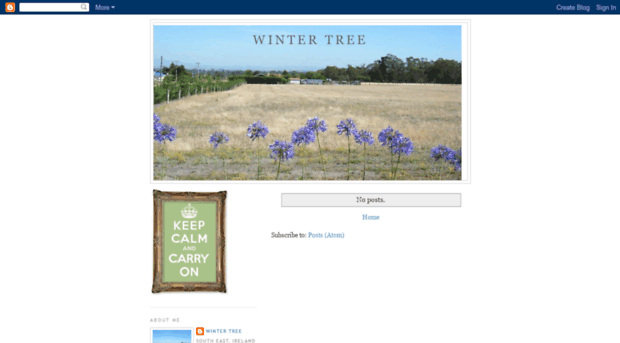winter-tree-blog.blogspot.ie