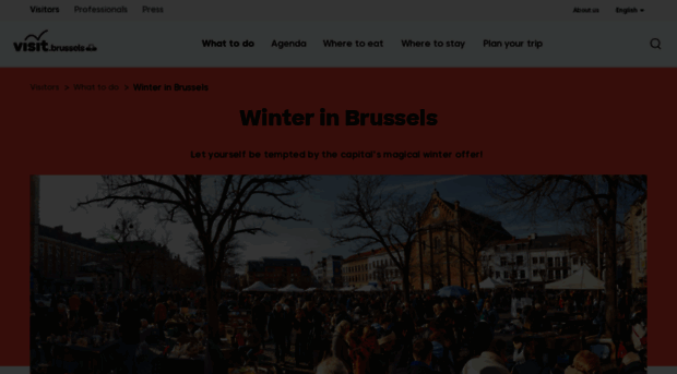 winter.brussels