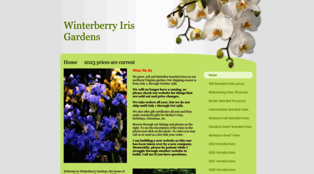 winterberryirises.com