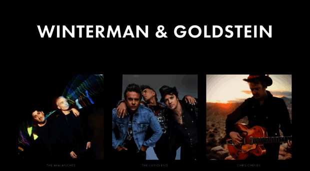 wintermanandgoldstein.com