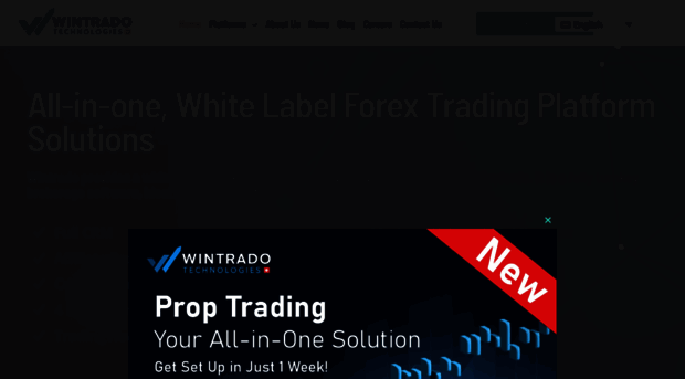 wintrado.com