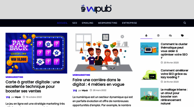 wipub.com