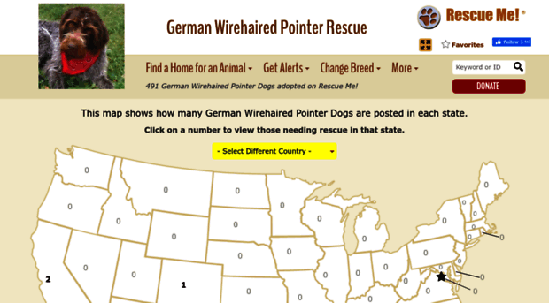 wirehairedpointer.rescueme.org