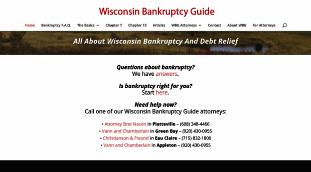 wisconsinbankruptcyguide.com