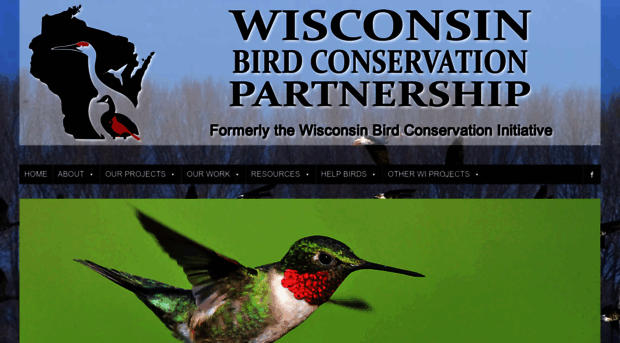 wisconsinbirds.org