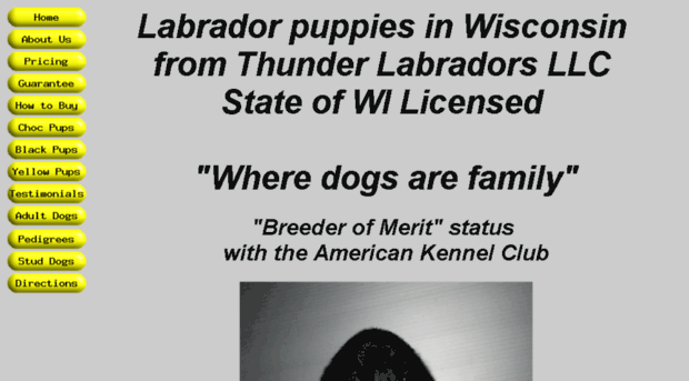 wisconsinlabradors.com