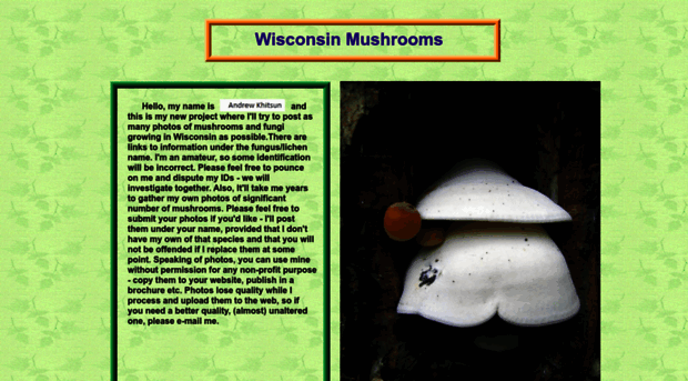 wisconsinmushrooms.com