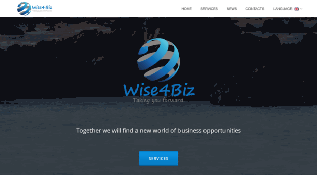 wise4biz.com