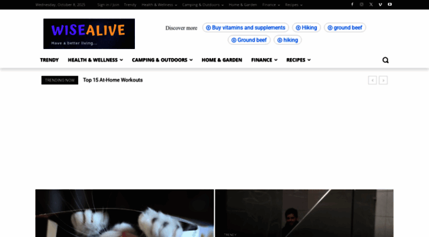 wisealive.com
