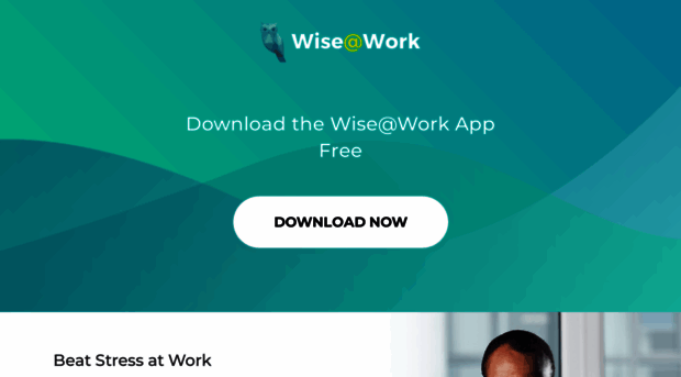 wiseatwork.com