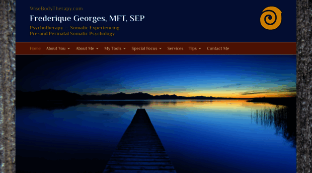 wisebodytherapy.com