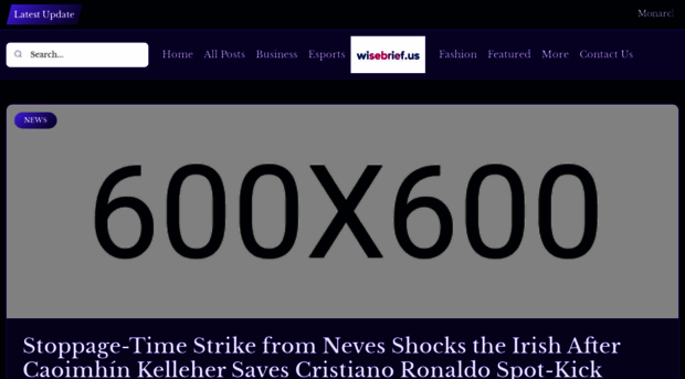 wisebrief.us