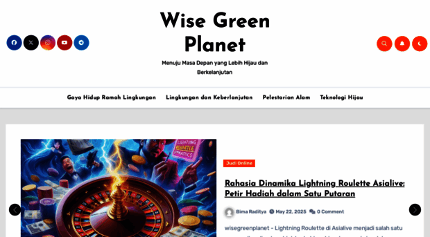 wisegreenplanet.com