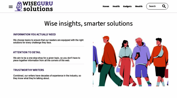 wisegurusolutions.com
