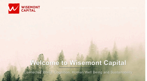 wisemontcapital.com