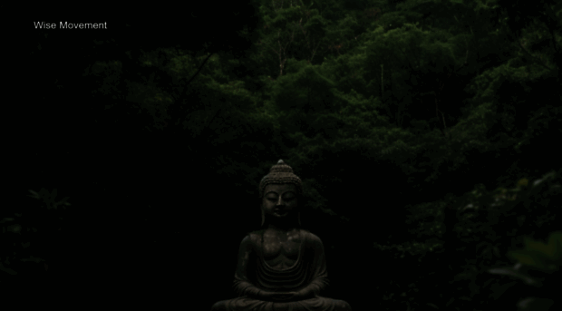 wisemovement.be