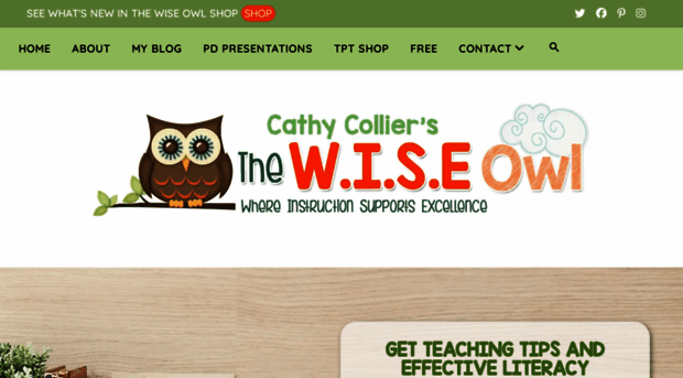 wiseowlcathy.blogspot.com