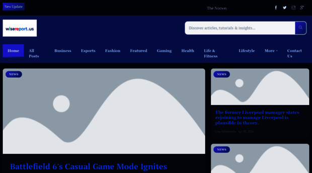 wisereport.us