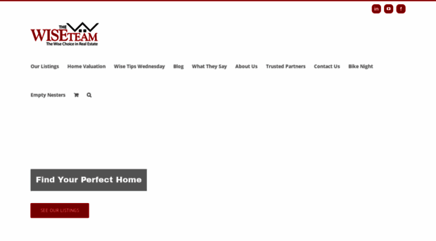 wiseteamcolorado.com