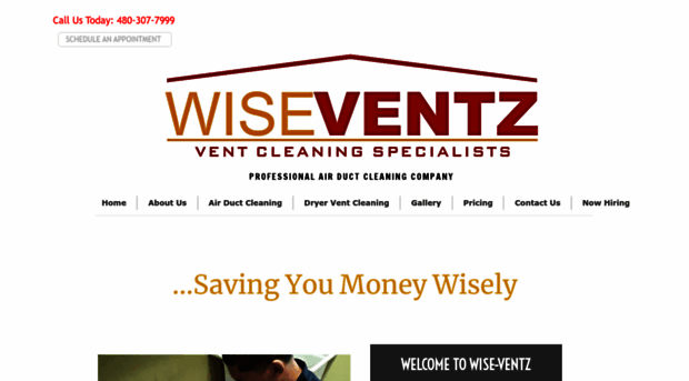 wiseventz.com