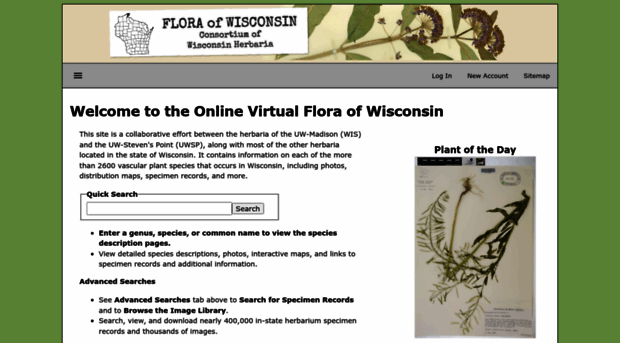 wisflora.herbarium.wisc.edu