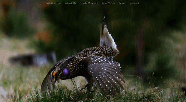 wisharptails.org