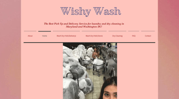 wishywashtoo.com