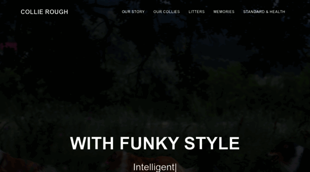 with-funky-style.ro