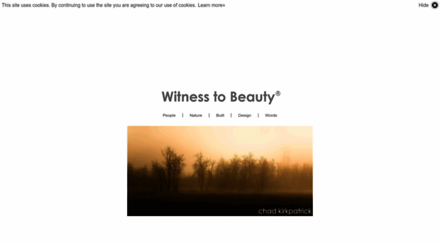 witnesstobeauty.com