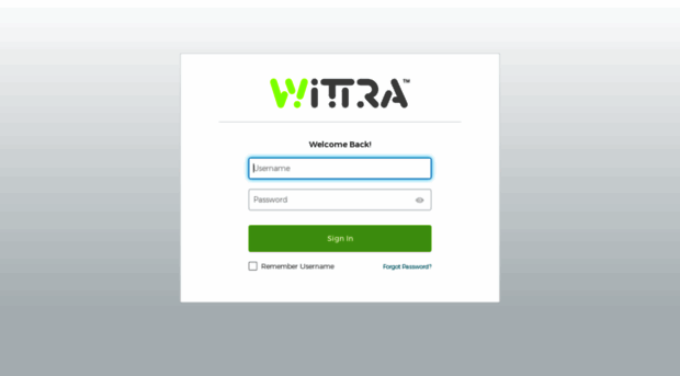 wittra.marketingautomation.services