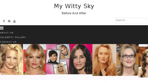 wittysky.com