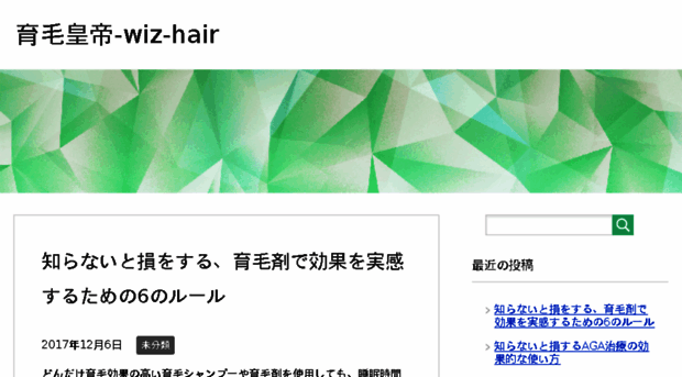 wiz-hair.com