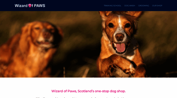 wizardofpaws.com
