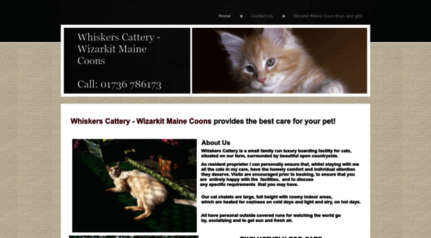 wizarkitmainecoons.co.uk