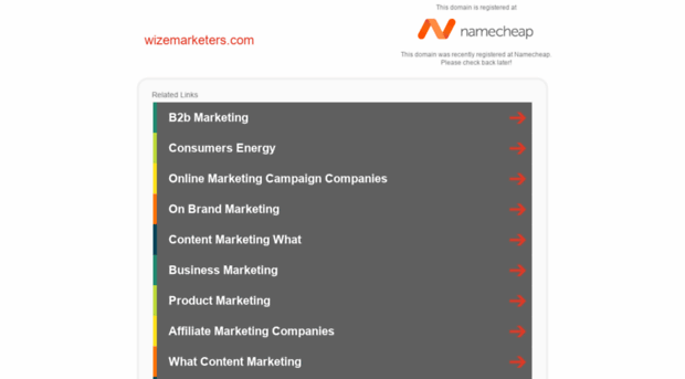 wizemarketers.com