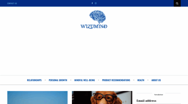 wizumind.com