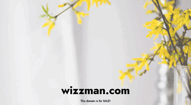 wizzman.com