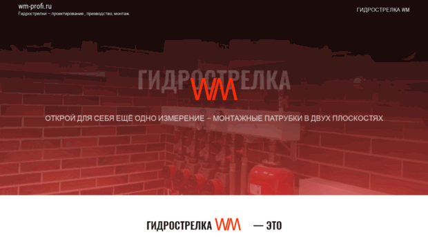 wm-profi.ru