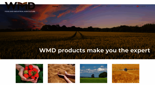 wmdsrl.com