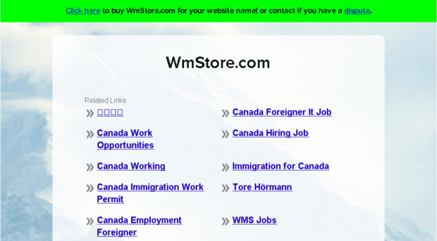 wmstore.com