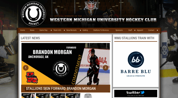 wmuhockey.pointstreaksites.com