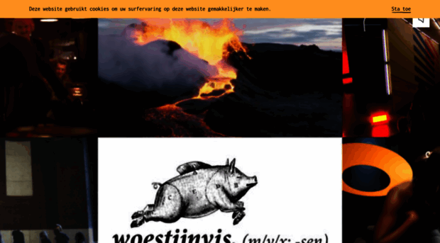 woestijnvis.be