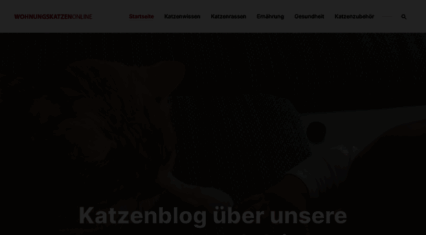 wohnungskatzen-online.de